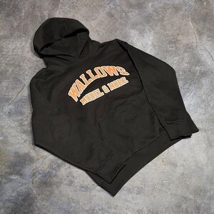 Wallows 2025 Models & More Tour Hoodis